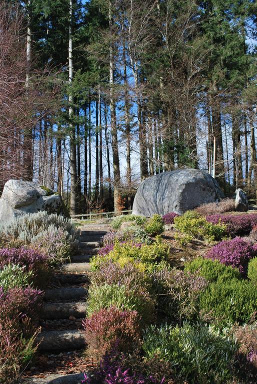 Trooperstown Lodge Laragh Bagian luar foto
