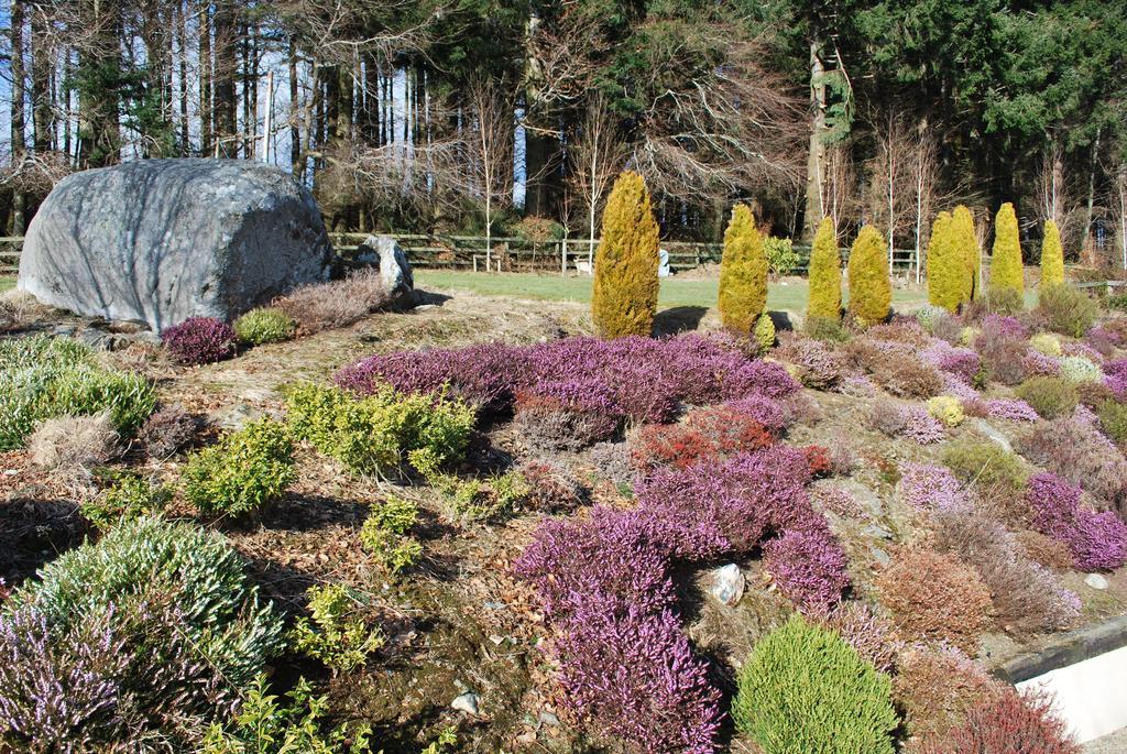 Trooperstown Lodge Laragh Bagian luar foto
